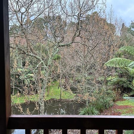 Peaceful Cottage In Beautiful Landscaped Native Bush Gully Tamahere Exterior photo