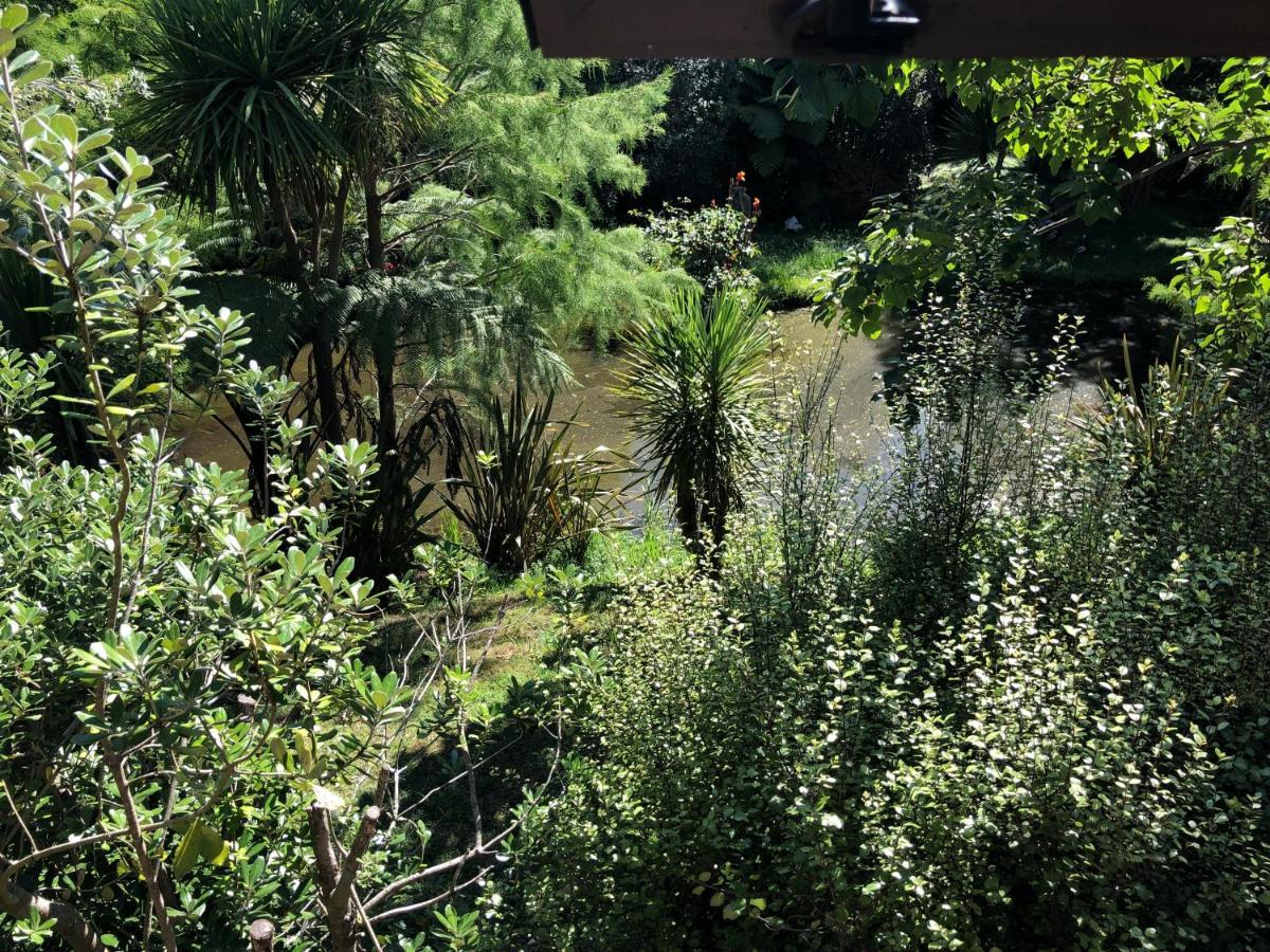 Peaceful Cottage In Beautiful Landscaped Native Bush Gully Tamahere Exterior photo