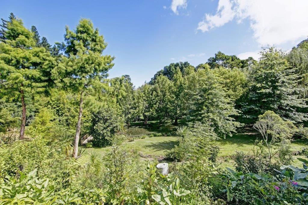 Peaceful Cottage In Beautiful Landscaped Native Bush Gully Tamahere Exterior photo