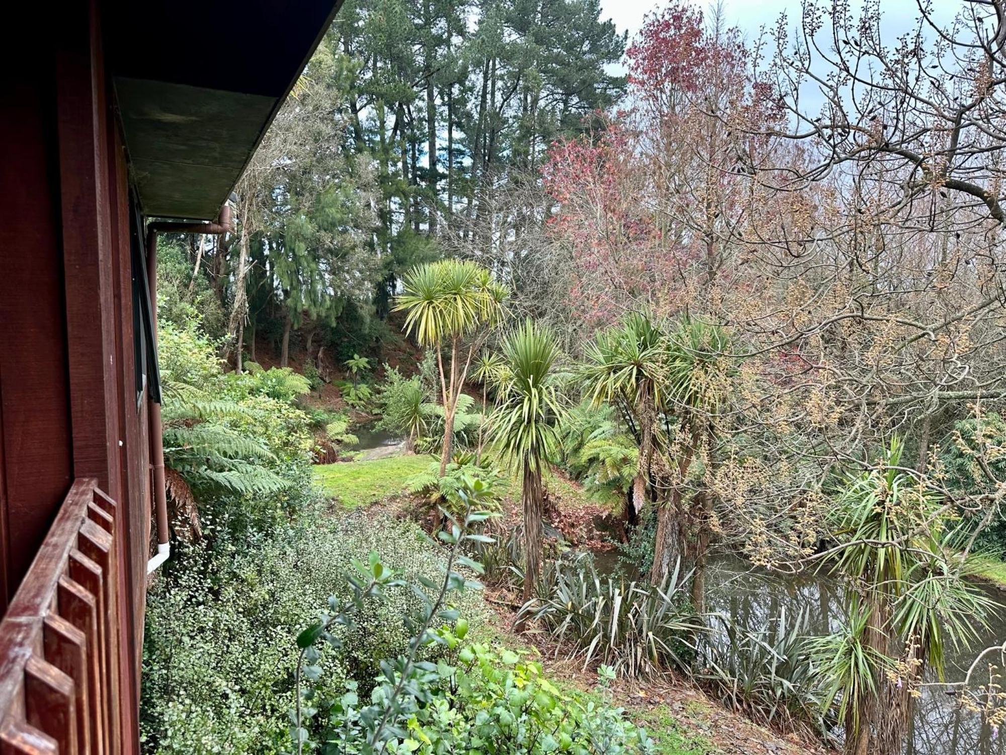 Peaceful Cottage In Beautiful Landscaped Native Bush Gully Tamahere Exterior photo