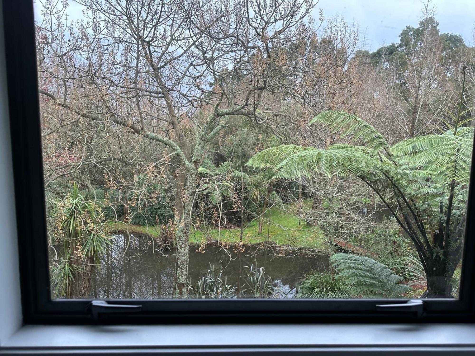 Peaceful Cottage In Beautiful Landscaped Native Bush Gully Tamahere Exterior photo